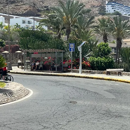 Bay * טאוריטו